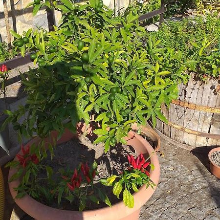 Appartamento House Ida Scafati Zewnętrze zdjęcie