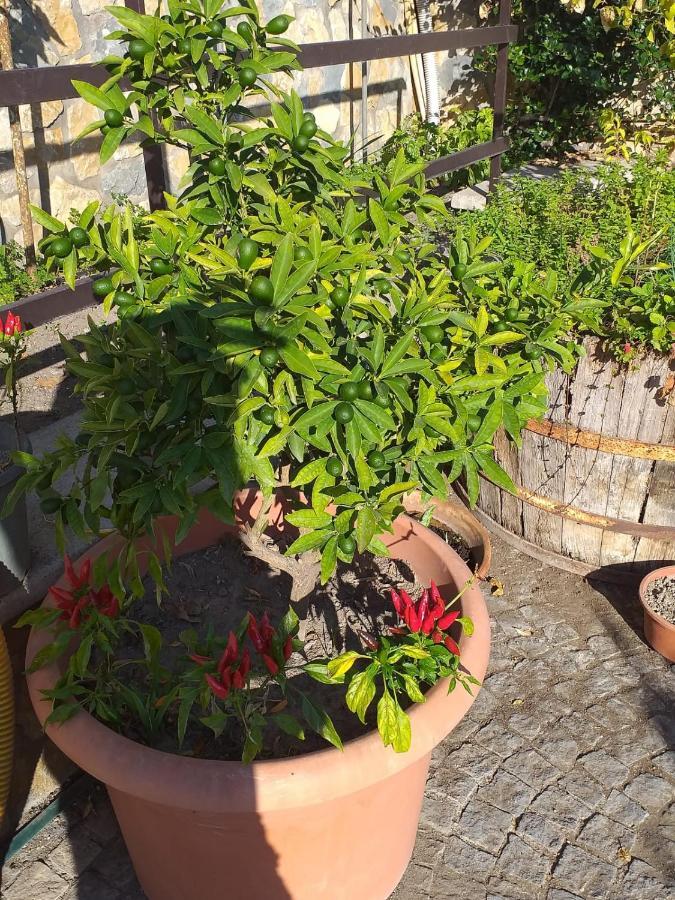 Appartamento House Ida Scafati Zewnętrze zdjęcie