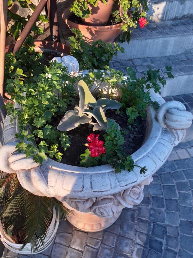 Appartamento House Ida Scafati Zewnętrze zdjęcie